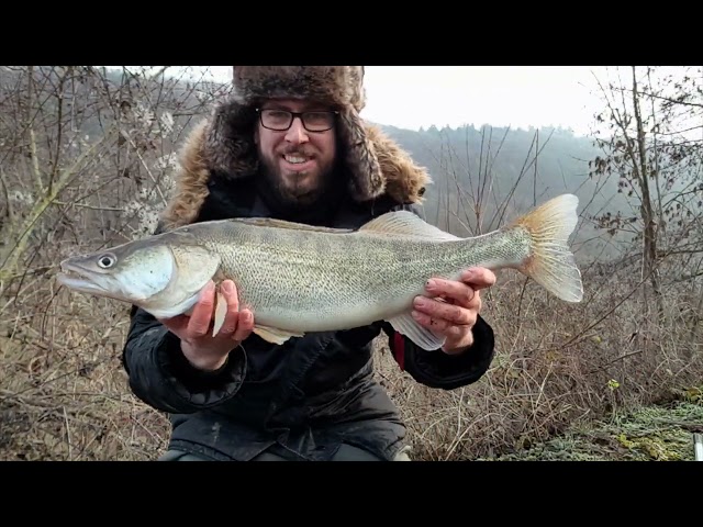 #7vswildcard Bewerbungsvideo für 7vs. Wild 