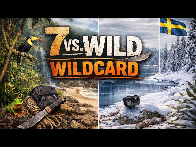 #7vsWildcard #7vswildcard