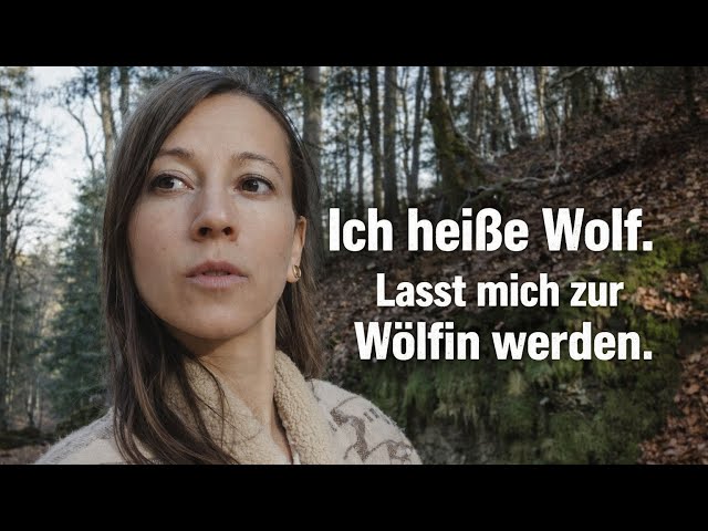 #7vsWildcard - Claudia Maria Wolf 