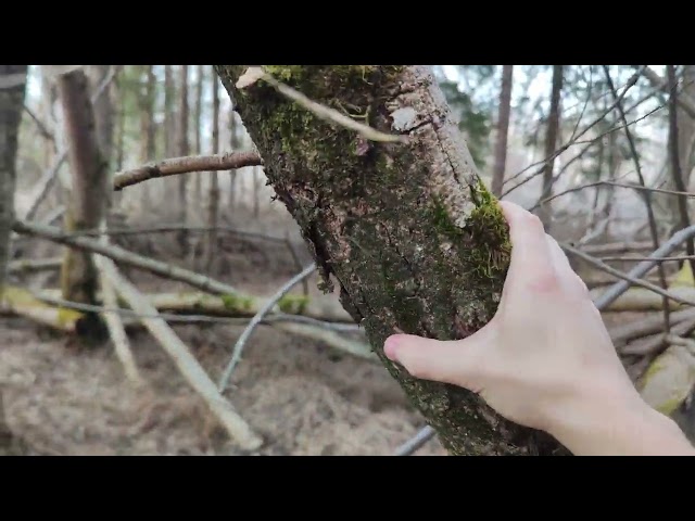 #7vswildcard Das ist die letzte(und beste) Bewerbung zur Wildcard