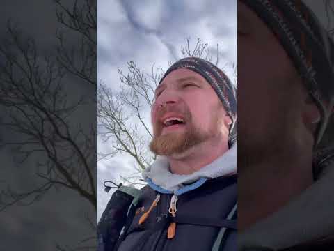 #7vswildcard  Bewerbung